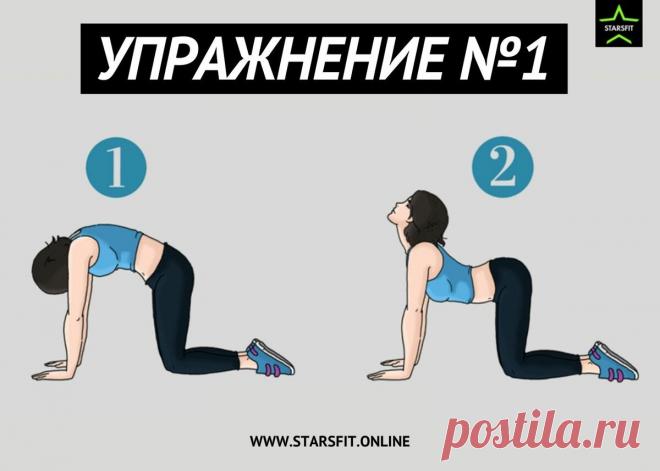 Болит поясница? Делай эти 7 упражнений для профилактики. | STARSFIT - здоровый образ жизни | Яндекс Дзен