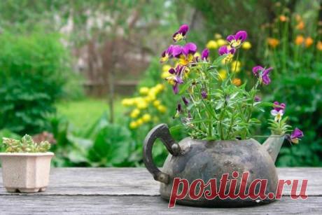 Вазоны для цветов своими руками: уличные, бетонные, пластиковые, деревянные, видео (+15 фото)