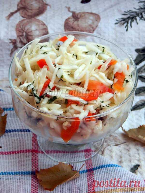 Маринованная капуста с перцем за 3 часа. Рецепт с пошаговыми фото