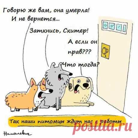 Павел Нагаев