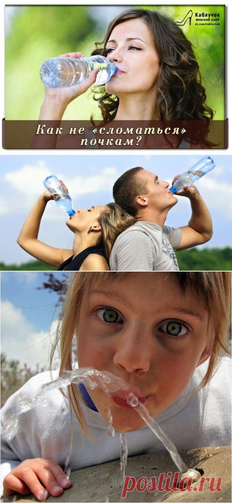 Как не «сломаться» почкам? .