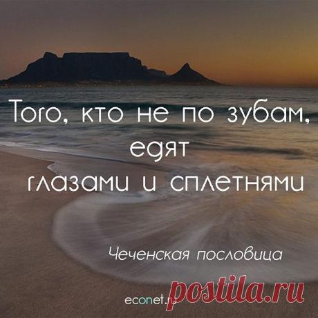 Не по зубам #сплетни #завить #отношения #жизнь #эконет #econet #econetru