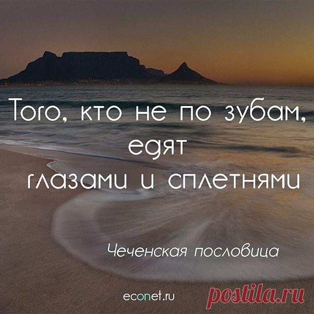 Не по зубам #сплетни #завить #отношения #жизнь #эконет #econet #econetru
