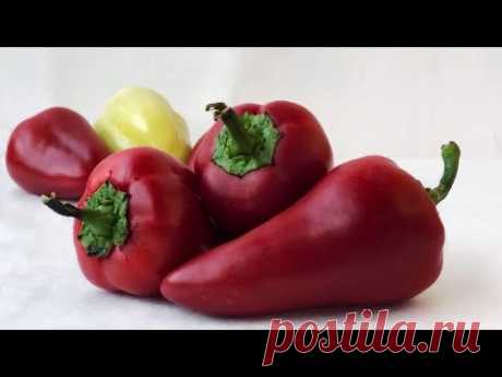 ТРИ ВКУСНЫХ РЕЦЕПТА ИЗ ПЕРЦА. ВОТ, ЧТО НУЖНО ГОТОВИТЬ СЕЙЧАС