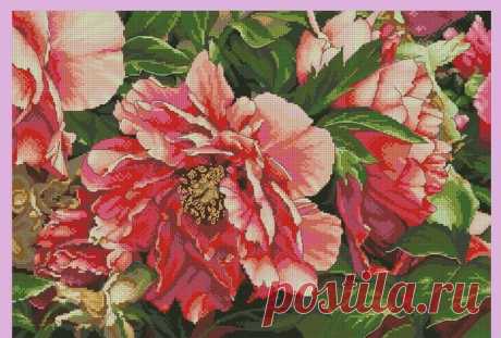 Коралловые пионы вышивка. coral peonies embroidery |