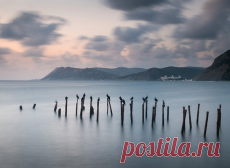 Столбы разрушенного причала облюбовала стая бакланов, мыс Большой Утриш (Краснодарский край). Снимал Михаил Гапонов: nat-geo.ru/community/user/223455