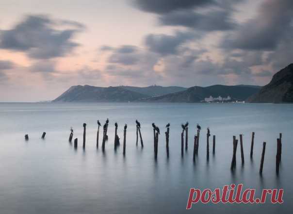 Столбы разрушенного причала облюбовала стая бакланов, мыс Большой Утриш (Краснодарский край). Снимал Михаил Гапонов: nat-geo.ru/community/user/223455