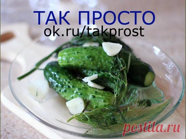 Суточные малосольные огурчики на минералке

Лето – самое время для малосольных огурчиков, упругих и хрустящих. У каждой хозяйки свой рецепт и каждый хорош по-своему.
Солить нужно небольшие, крепкие, молодые огурцы «с пупырышками».
Малосольные огурчики на минералке – это, просто, бомба!
Ингредиенты:

— 1 кг огурцов
— 1 литр минеральной воды
— 2 столовые ложки соли без горки
— укроп
— 5 зубчиков чеснока
Огурцы нужно помыть и обрезать хвостики.

Затем уложить в емкость для за...