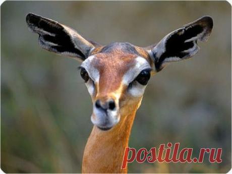 Индийский гороскоп. Часть первая - Все случается, рано или поздно, так или иначе