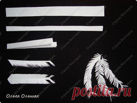(3) Одноклассники