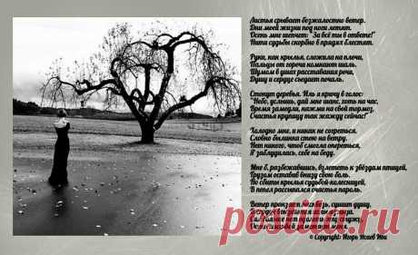 Моя ретро-открытка &quot;Осенний ветер&quot;