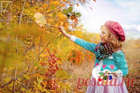 Капельки радости. Осень - чудная пора