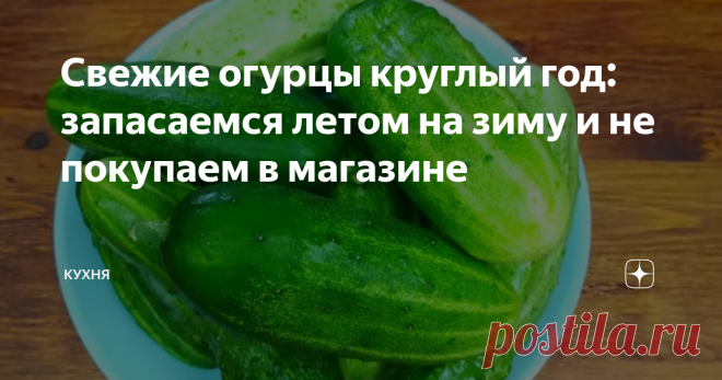 Свежие огурцы круглый год: запасаемся летом на зиму и не покупаем в магазине О таком 