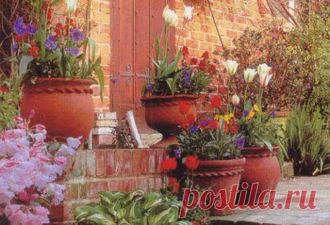 (+1) тема - Оформление крыльца красивыми цветами | Роскошь и уют