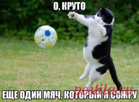 футболист