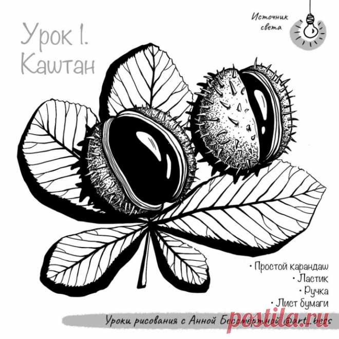 Рисуем каштан Рисуем каштанРисование простыми карандашами доступно каждому.