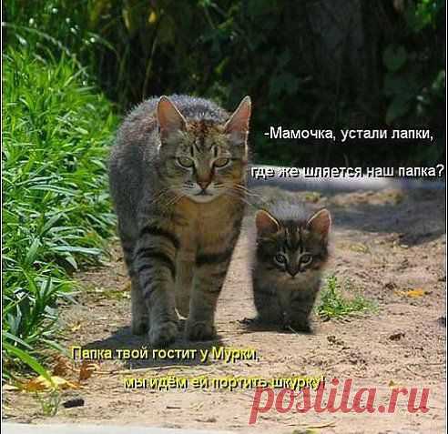 Одноклассники