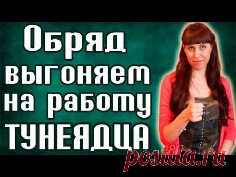 ВЫГОНЯЕМ НА РАБОТУ ТУНЕЯДЦА / КАК ЗАСТАВИТЬ ЧЕЛОВЕКА РАБОТАТЬ / МУЖ НЕ РАБОТАЕТ - YouTube
