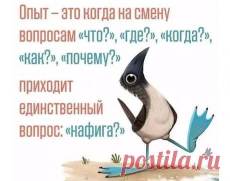 Полночь. В сауне с девчонками развлекаются уставшие за день бизнесмены. Одному из них звонит жена: - Дорогой, ты где? - Представляешь, на Ленинградке в пробке застрял!.. - А ну-ка посигналь.. - Выпуск №2855