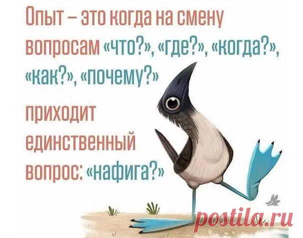 Полночь. В сауне с девчонками развлекаются уставшие за день бизнесмены. Одному из них звонит жена: - Дорогой, ты где? - Представляешь, на Ленинградке в пробке застрял!.. - А ну-ка посигналь.. - Выпуск №2855