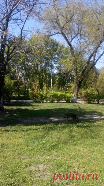 Весна в Аккермане.
В городском саду...