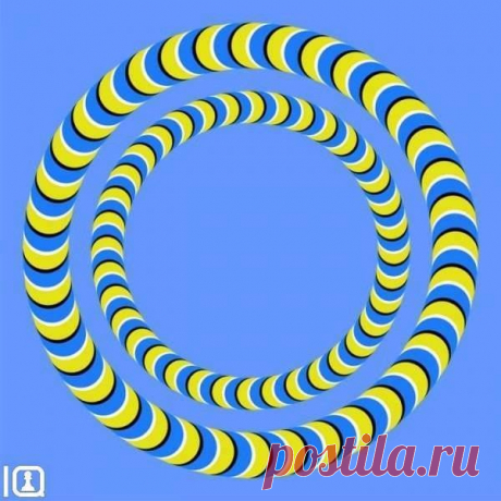 Эту иллюзию изобрел японский психиатр Акиоши Китаока. Он утверждает, что иллюзия неподвижна для спокойных, уравновешенных и отдохнувших людей. Если же иллюзия активно движется, то вам нужен отдых и сон в течение 8 часов. Ну, а если же иллюзия очень быстро движется, то вам срочно нужен… отдых в больнице. 
Итак, проверяем себя, и если что – начинаем отдыхать!