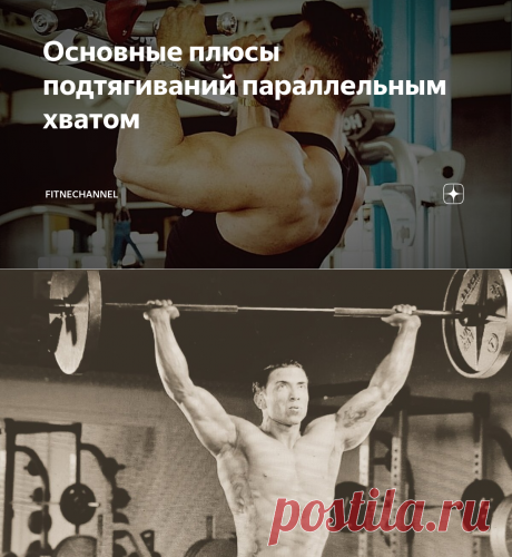 Основные плюсы подтягиваний параллельным хватом | fitnechannel | Яндекс Дзен