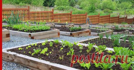 Как грамотно сделать грядки, если участок на склоне: советы огородникам Даже если дачный участок расположен на склоне, на нем можно организовать огород, который даст хороший урожай. Плодородные грядки в таком случае сделать