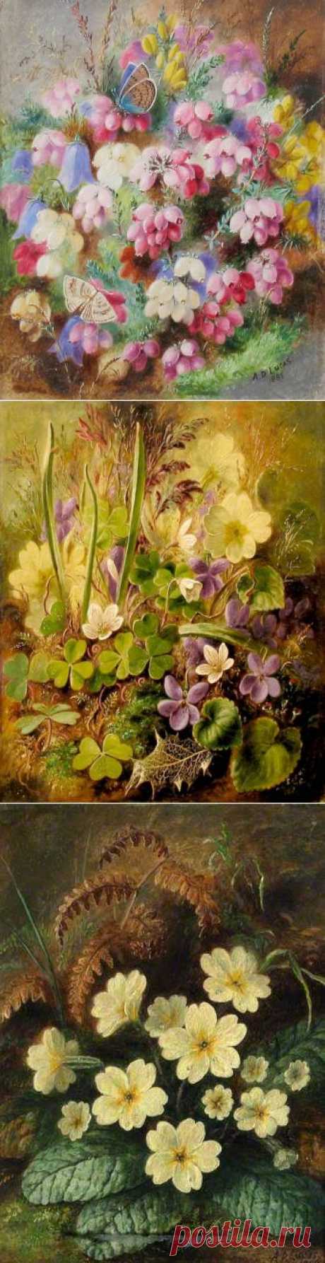 Художник Albert Durer Lucas
