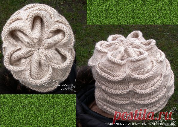 Без заголовка