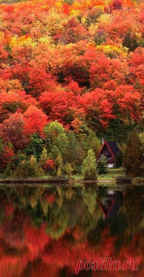 Autumn Lake, Quebec, Canada | Fall