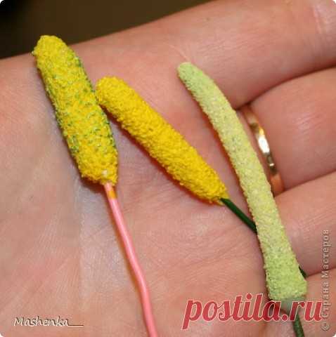 МК по тычинкам для калл, антуриумов | Страна Мастеров