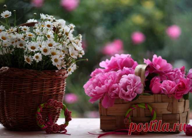 Скучают души, так же как и люди..
