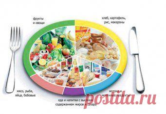 Дневник питания Маргариты Королевой с подсчетом калорий: советы по ведению