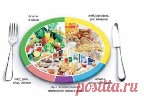 Дневник питания Маргариты Королевой с подсчетом калорий: советы по ведению