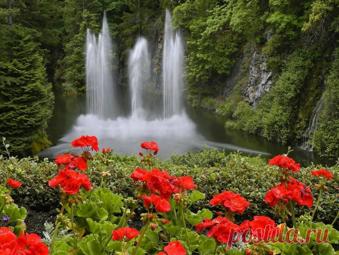 Мудрость Предков⚡ 🔥Вся красота Вселенной, Мира идёт от женщины. Вся любовь… | В гостях у Ларуси☕🍬 | Яндекс Дзен