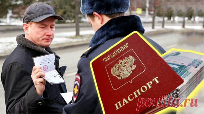Вас ещё не штрафовали за паспорт? Новые обязанности граждан о которых мало кто знает (прочитайте чтобы избежать штрафа в 30 000 ₽) | ПРАВОЗНАЙ | Дзен