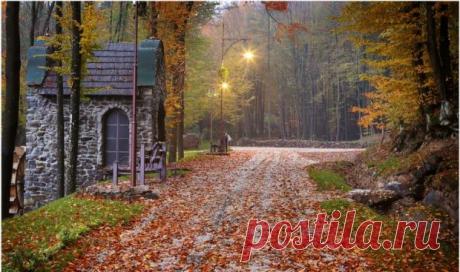 Закарпатская область, Воеводино, Парк Шенборна

Один из самых красивых парков Закарпатья – Австрийский парк Шенборна, который был открыт в 2013 году. Этот невероятный парк расположен на 12 гектарах с кельтским садом, 12-ю мостами по знакам Зодиака, красивыми озерами и водяной мельницей.


Тут вы сможете полюбоваться природой, попробовать закарпатские вина из оригинальных сортов винограда из Австрии, увидеть старинные скульптуры и уникальные фонари. А также здесь можно устр...