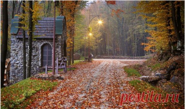 Красивые места Украины: Закарпатская область, Воеводино, Парк Шенборна

Один из самых красивых парков Закарпатья – Австрийский парк Шенборна, который был открыт в 2013 году.