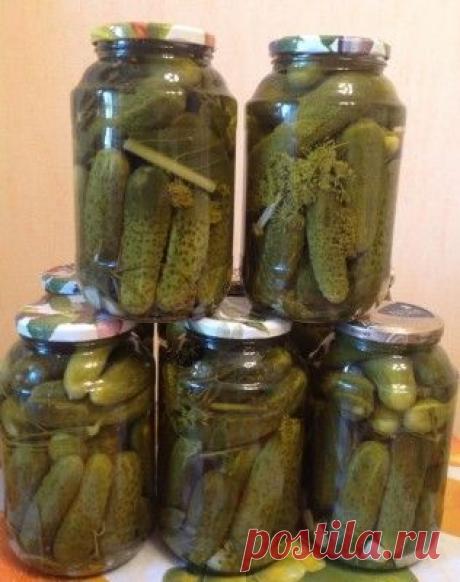 Огурчики хрустящие (от начальницы) : Огурцы