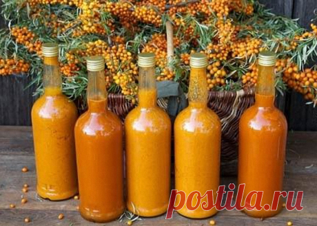 Домашнее белое вино из облепихи | eshtoday.ru