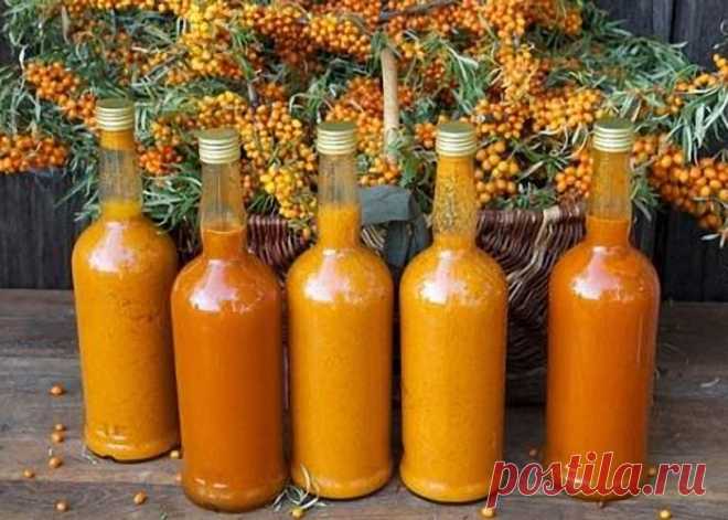 Домашнее белое вино из облепихи | eshtoday.ru