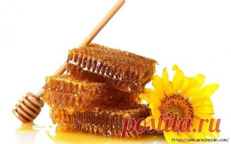 Осветление волос медом.