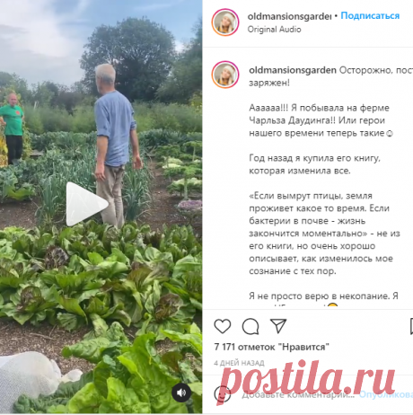 Маша Дачница со вкусом👌🏻 в Instagram: «Осторожно, пост заряжен! ⠀ Аааааа!!! Я побывала на ферме Чарльза Даудинга!! Или герои нашего времени теперь такие☺️ ⠀ Год назад я купила…»