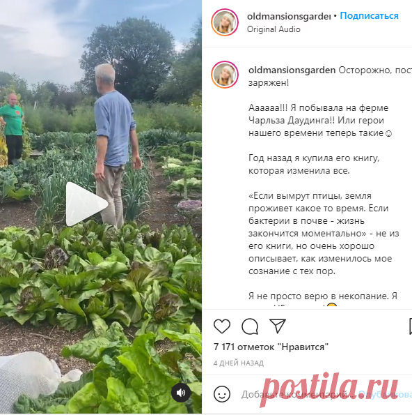 Маша Дачница со вкусом👌🏻 в Instagram: «Осторожно, пост заряжен! ⠀ Аааааа!!! Я побывала на ферме Чарльза Даудинга!! Или герои нашего времени теперь такие☺️ ⠀ Год назад я купила…»