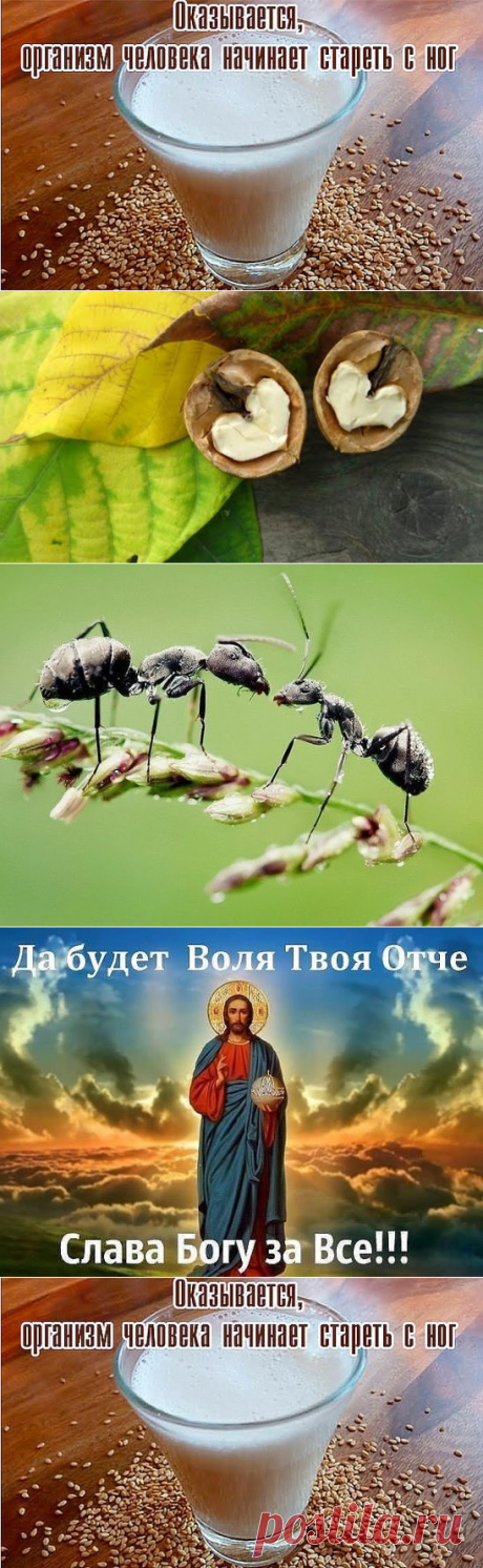 (41) Одноклассники