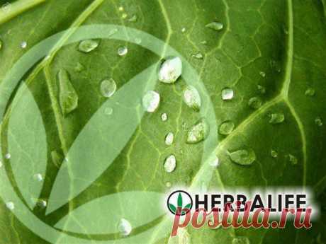 СБАЛАНСИРОВАННОЕ ПИТАНИЕ HERBALIFE - это Ваш путь к лучшей форме! Независимо от того, чем мы занимаемся в жизни, нам всем хочется быть на высоте: стройнее, энергичные, успешнее. Вместе с HERBALIFE Вы добьетесь желаемого результата. 
ПРИГЛАШАЮ ЖЕЛАЮЩИХ В НАШ КЛУБ &quot;ПОЗИТИВ&quot; !!!
Профессиональный консультант по питанию Рой Татьяна (с.тел. +79149498432 и +79648065471) г.Ангарск