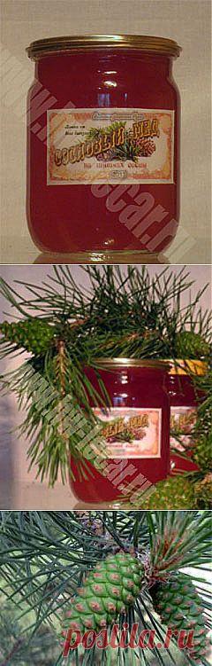 от простуды для детей сосновый мед, купить