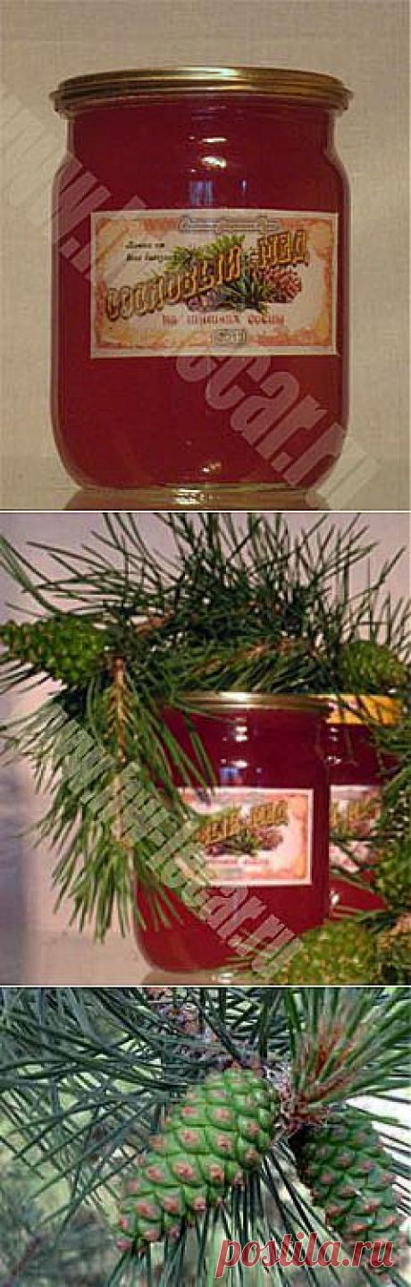 от простуды для детей сосновый мед,