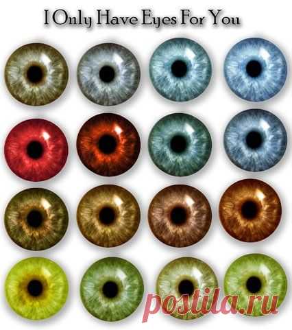 (13) Pinterest